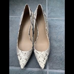 Kitten heel snake skin Ann Taylor pumps